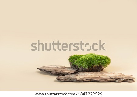 Composition of bark tree and moss on pastel background. Abstract podium for organic cosmetic products. Natural stand for presentation and exhibitions.
