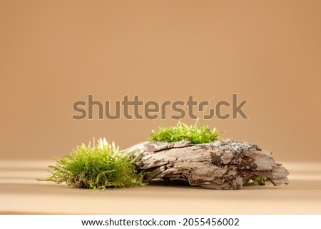 Composition of bark tree and moss on pastel background. Abstract podium for organic cosmetic products. Natural stand for presentation and exhibitions. Minimal style
