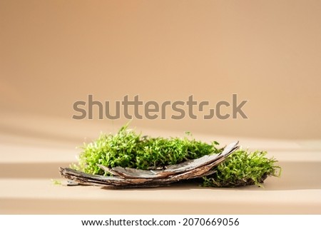Composition of bark tree and moss on pastel background. Abstract podium for organic cosmetic products. Natural stand for presentation and exhibitions. Still-life. Minimal style