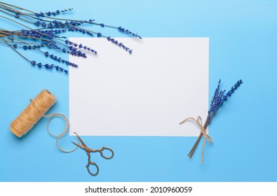 Composition with blank paper sheet on color background