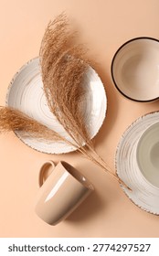Composition with ceramic tableware and dry reeds on color background