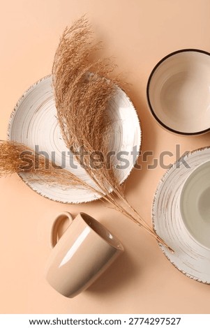 Composition with ceramic tableware and dry reeds on color background