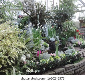 A composition of colorful Variegated plants and small flowers 