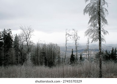 The composition creates a strong sense of depth, moving from textured frosted shrubs in the foreground to layered forests and agricultural land in the distance. Muted tones of gray, pale blue, soft green, and earthy brown enhance the calm and slightly melancholic winter atmosphere. The cloudy sky occupies a large portion of the frame, providing generous copy space for design and editorial use.

This image conveys themes of seasonal transition, rural life, natural beauty, and quiet solitude. The elevated viewpoint suggests perspective and openness, while the frost-covered trees emphasize the stillness of cold weather. The contrast between wild forest and cultivated fields highlights the relationship between nature and human landscape.