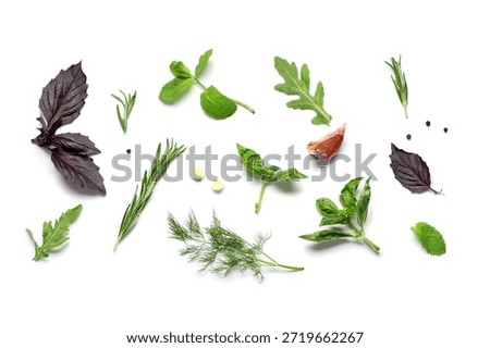 Composition with different fresh herbs isolated on white background