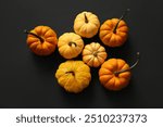 Composition with different fresh pumpkins on dark background