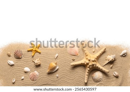 Composition with different seashells, starfishes and sand on white background