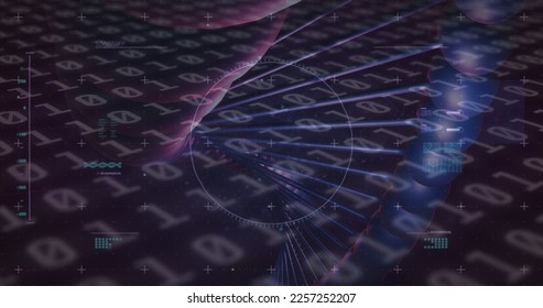 Composition of dna strand over binary coding data processing. Global science, computing and data processing concept digitally generated video.