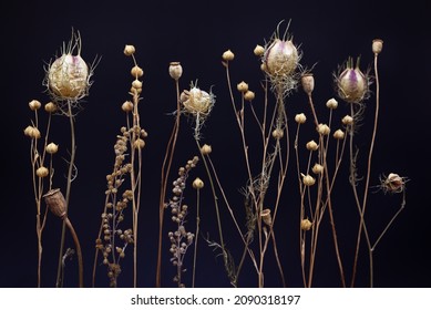 Composition Of Dried Flowers On A Black Background. Dry Wild Flowers, Flax, Poppy, Herbs.