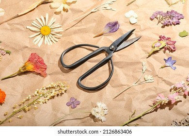 Composition With Dried Pressed Flowers And Scissors On Craft Paper