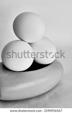 composition of the eggs and ceramic bawl