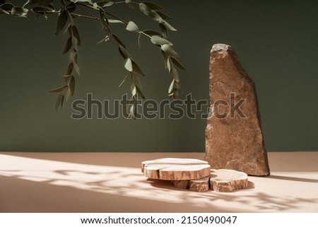 Composition empty podium material tree stone dry flowers. Product presentation. Background beige green. Beautiful background from natural materials