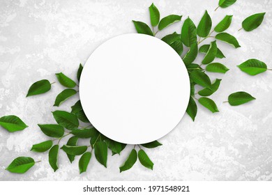 Composition Of Empty White Circle Watercolor Sheet Of Paper And Green Leaves On A Light Gray Concrete Background. Advertising Board, Mockup On The Wall. Flat Lay, Top View, Copy Space