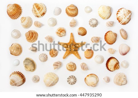 composition of exotic sea shells and starfish on a white background. top view. Сток-фото © 
