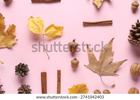 Composition with fallen leaves, acorns, pine cones and cinnamon on pink background