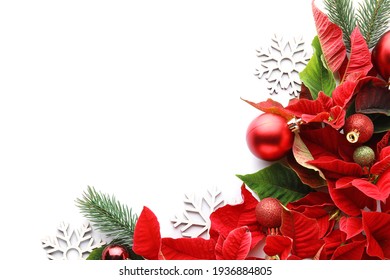 Composition With Flowers Of Christmas Plant Poinsettia On White Background