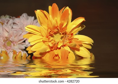 composition of flowers with water consequence...