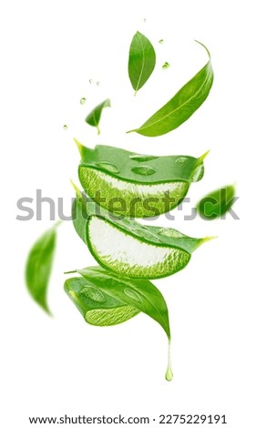 Composition of flying tea leaves and aloe vera slices isolated on white background.