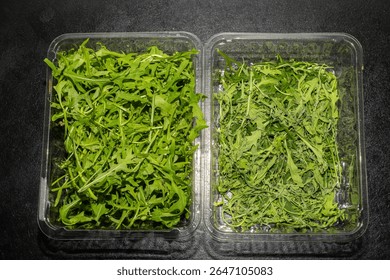 Composition with fresh arugula in plastic containers on a black background. Comparison of dry wilted arugula and fresh freshly picked arugula. The process of cooking home-cooked food. Vegetarianism.