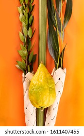 8,294 Sukkot Stock Photos, Images & Photography | Shutterstock