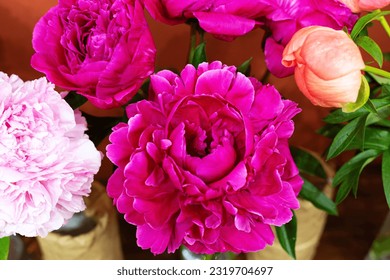 Composition multi-colored peonies on terra-cotta background. Big heads and buds. Close-up with selective focus. Bouquet of seasonal peonies. Concept: holiday invitation, postcard, decorative packaging - Powered by Shutterstock