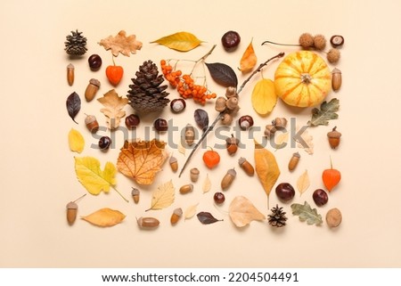 Composition with natural forest decor on color background