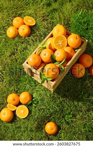 Composition of oranges divided into groups around rectangular wooden crate, displayed on the lawn. The orange segments are arranged in a fan shape from the center outwards, with clear white dividers.