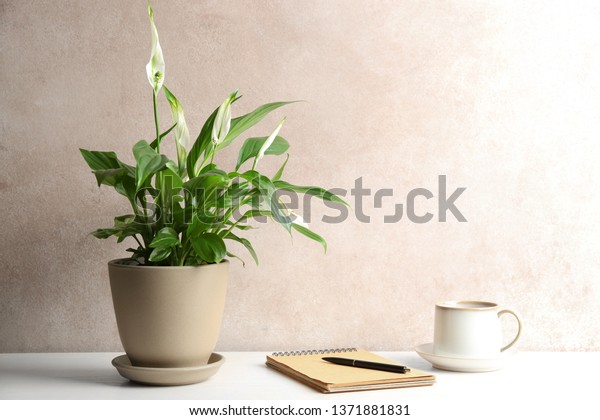 composition-peace-lily-notebook-cup-600w-1371881831.jpg