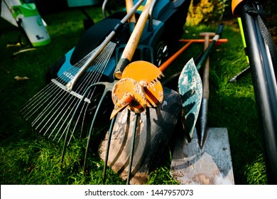 Composition With Plant And Professional Gardening Tools On Artificial Grass