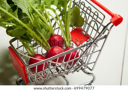 Composition with plastic shopping basket and grocery isolated on white