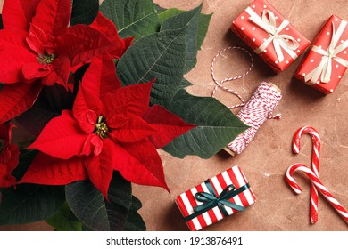 Composition Of Poinsettia (Christmas Flower) And New Year's Gifts On A Colored Background With A Place For Text.