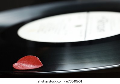 Composition of red dead leaf on black old retro vinyl music plate, nostalgia concept