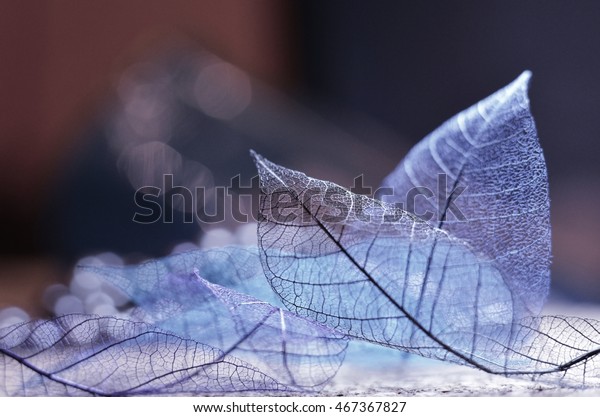 Image 13