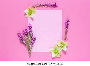 Composition of spring flowers, paper blank on a pink background.  Flat lay, top view. Minimal concept. Greeting card. - Shutterstock ID 1719678130