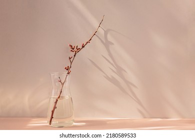 Composition in the style of minimalism. A dry apple branch with buds in a vase on a natural background with shadows and sunshine - Shutterstock ID 2180589533
