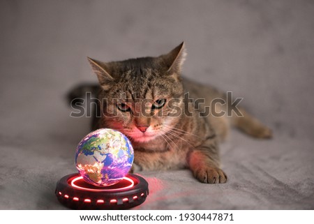 Composition of a tabby cat lying on grey blanket, looking evil or angry with an Earth globe in front of it. Planet levitating special device with red led glowing.