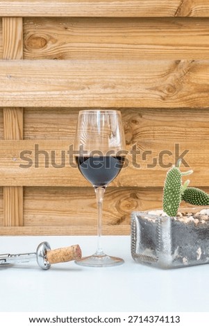 In a composition of textures and colors, the smooth crystal glasses contrast with the cactus's rough surface, while the blue hue of the table enhances the wine's depth