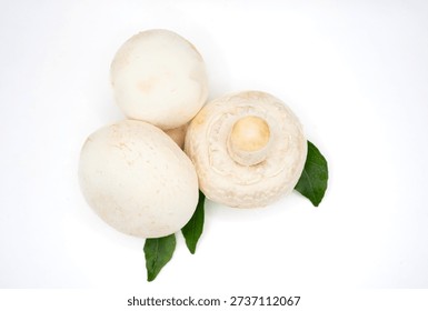 A composition of three fresh white button mushrooms and green leaves, carefully arranged for a clean, appetizing studio shot.
