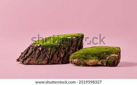 Composition of tree bark and moss on pastel background. Abstract podium for organic cosmetic products. Natural stand for presentations and exhibitions