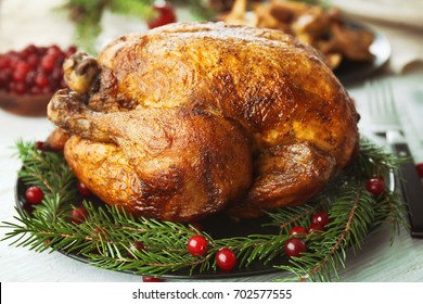 Composition With Whole Roasted Turkey, Coniferous Branches And Cranberry