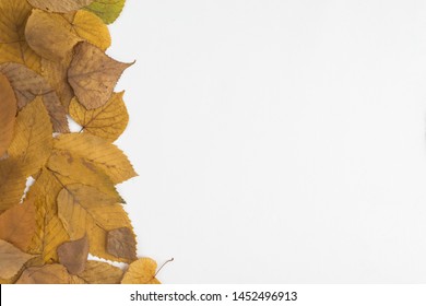 Composition of withered yellow leaves - Shutterstock ID 1452496913