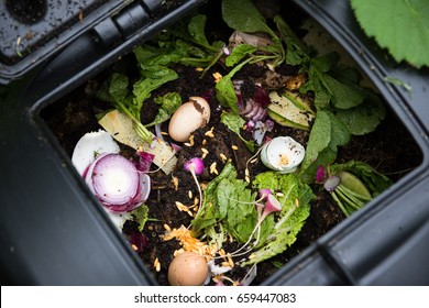 Compost-Papierkorb mit Lebensmittelschrott und Gras