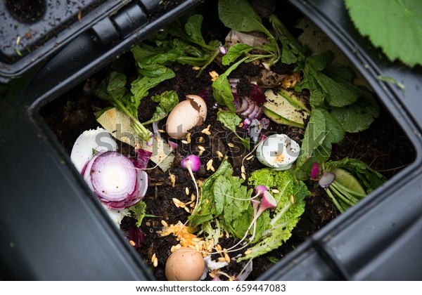 Compost Bin with\
Food Scraps and Grass\
Cuttings