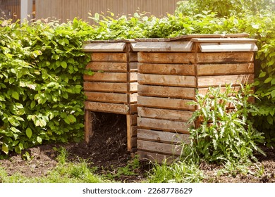 Compost Box Double with composted soil.  Wood Garden Compost Bin for Community composting. Recycling Organic Waste.
