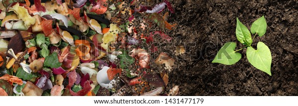 Compost and composted soil cycle as a\
composting pile of rotting kitchen scraps with fruits and vegetable\
garbage waste turning into organic fertilizer earth with a growing\
young plant as a\
composite.