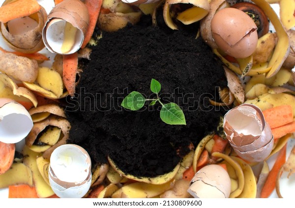 compost cycle is like composting a pile of\
rotting kitchen waste with vegetable waste turning into soil for\
organic fertilizers with a growing young plant as an integral\
part.Natural\
fertilizer.