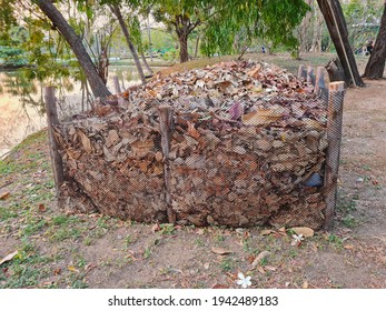 Compost Dried Leaves In A Net, Compost Fertiliser