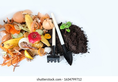 Compost From Fruits, Vegetable Scraps And Plant Sprout In Ground. Food Waste For Recycling. Environmentally Responsible Behavior Concept. 