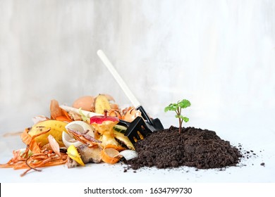 Compost From Fruits, Vegetable Scraps And Plant Sprout In Ground. Food Waste For Recycling. Environmentally Responsible Behavior Concept. 