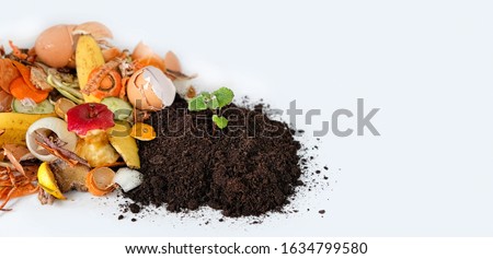 Compost from fruits, vegetable scraps and plant sprout in ground. waste for recycling. Food waste, Environmentally responsible behavior concept. copy space